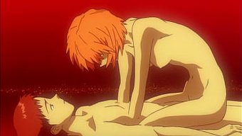 Eva 028 - 结论