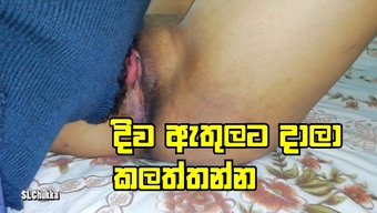 Athulata Diwella和danna Ayye的最佳逼视频 - 自制视频