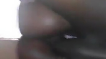 背叛的美丽胖女人湿的阴道被猛烈地操