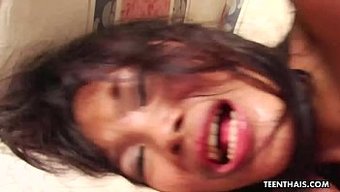 泰国女孩的紧致臀部从后面被大力插入