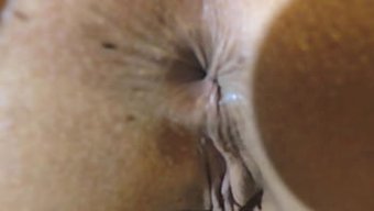 性感的拉丁美女,大屁股和丰满的乳房