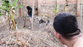自然户外环境下与丰满邻居一起吞精